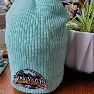 Mammoth Brewing Beanie Hats (2)